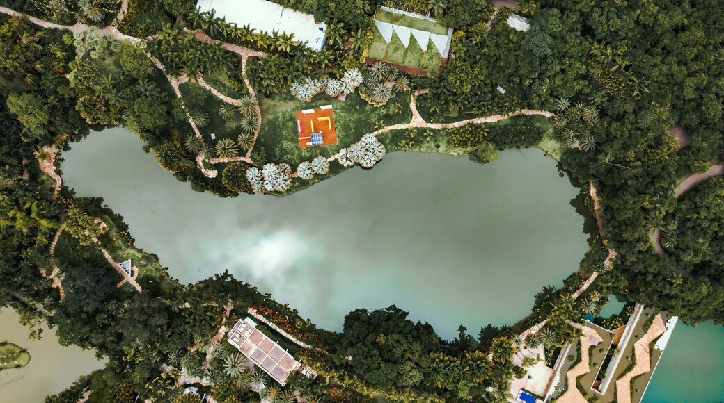 Instituto Inhotim Arte Brasileira Contemporânea Engenharia Paisagismo Jardinagem Sítio Natureza Lago Paisagem Brumadinho Belo Horizonte Minas Gerais Turismo Turístico Viagem Viajar Palmeiras Árvores