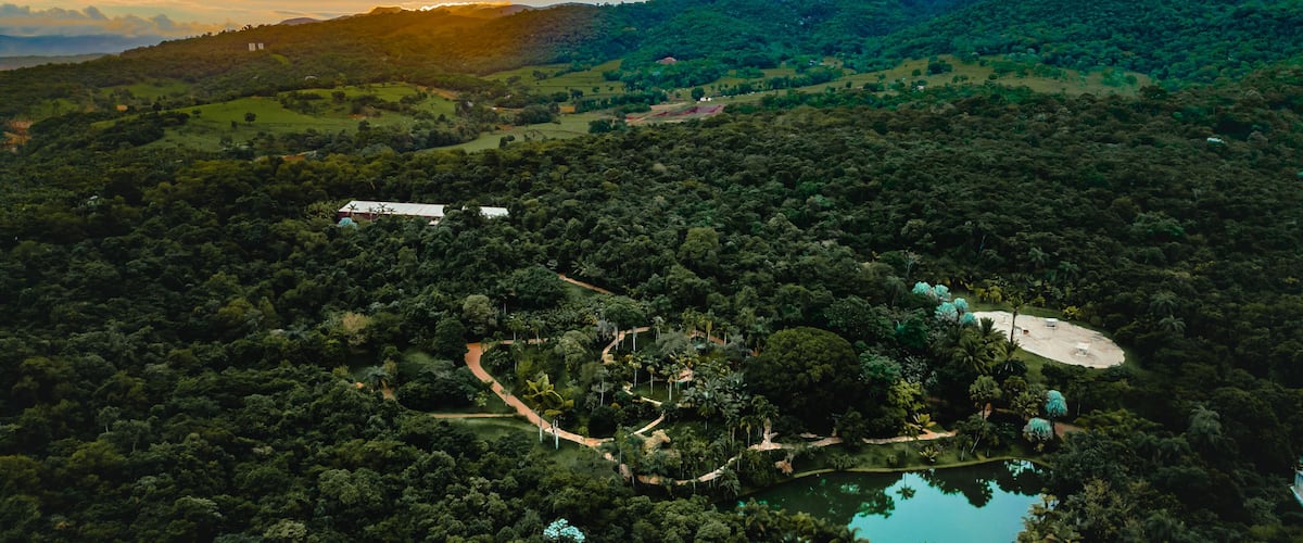 A lush landscape with a lake, a winding path, and a building surrounded by dense forest.