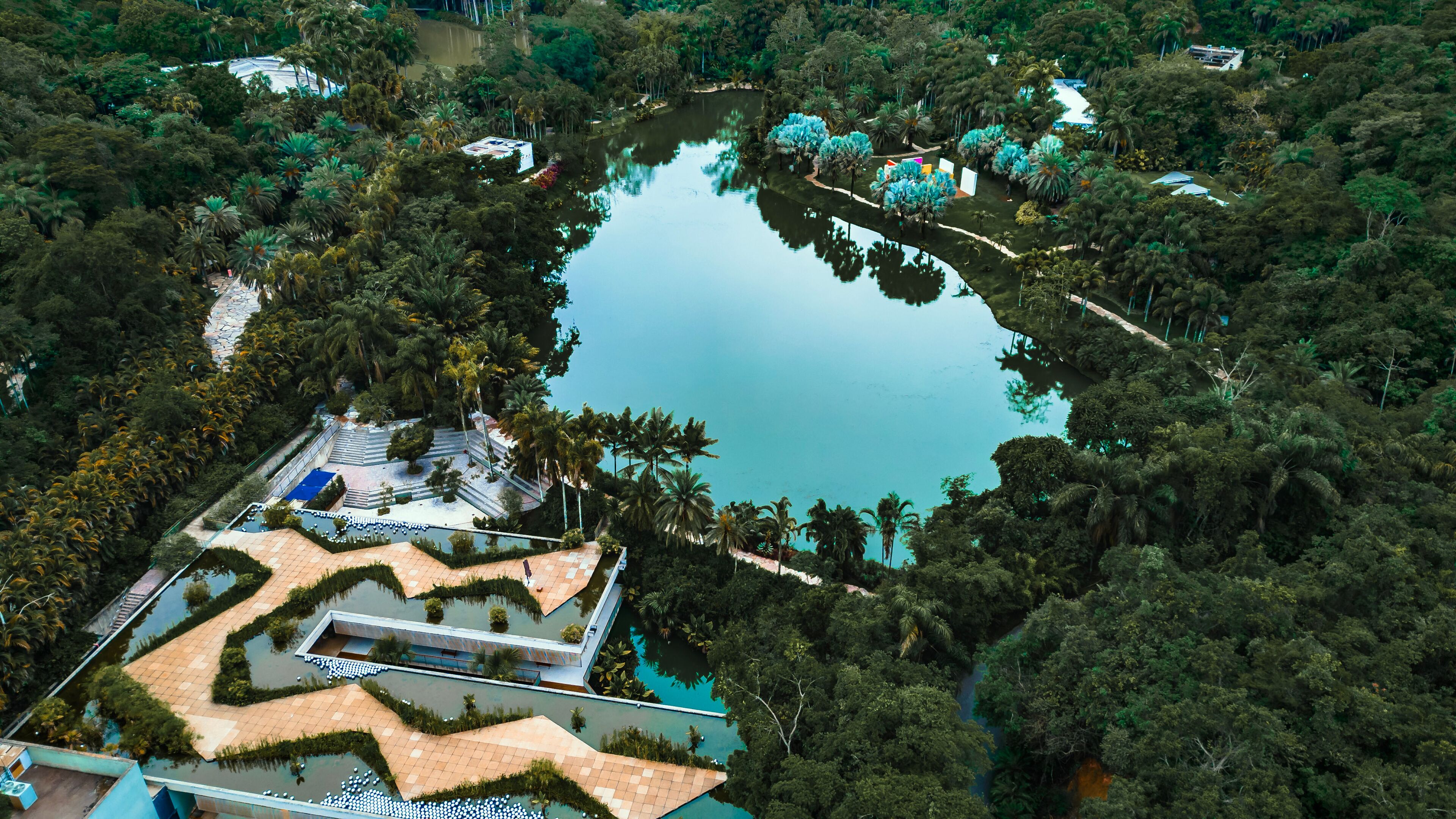 Instituto Inhotim Arte Brasileira Contemporânea Engenharia Paisagismo Jardinagem Sítio Natureza Lago Paisagem Brumadinho Belo Horizonte Minas Gerais Turismo Turístico Viagem Viajar Palmeiras Árvores