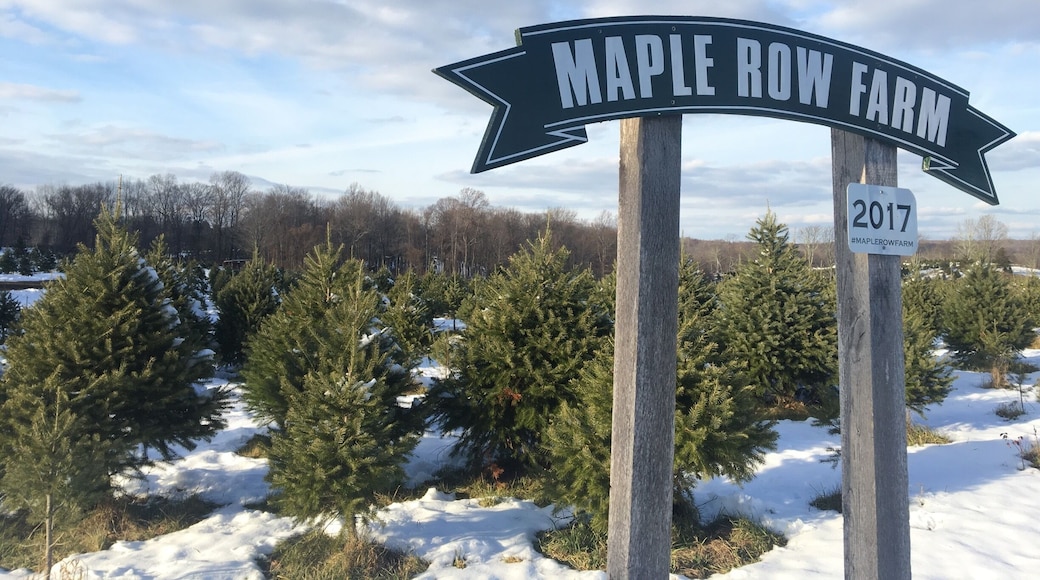 Gorgeous Christmas tree farm just in time for the holiday! Family tradition to go and pick out our tree and cut it down ourselves and bring home to decorate. Nothing better than the fresh smell of a new tree to start off the season.
Staff is wonderful, help cutting down the tree if needed and loading it up for you. Try out their yummy hot chocolate and apple cider too!!