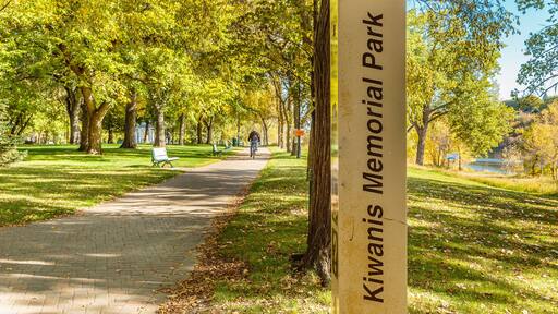 セントラル ヘインズビル