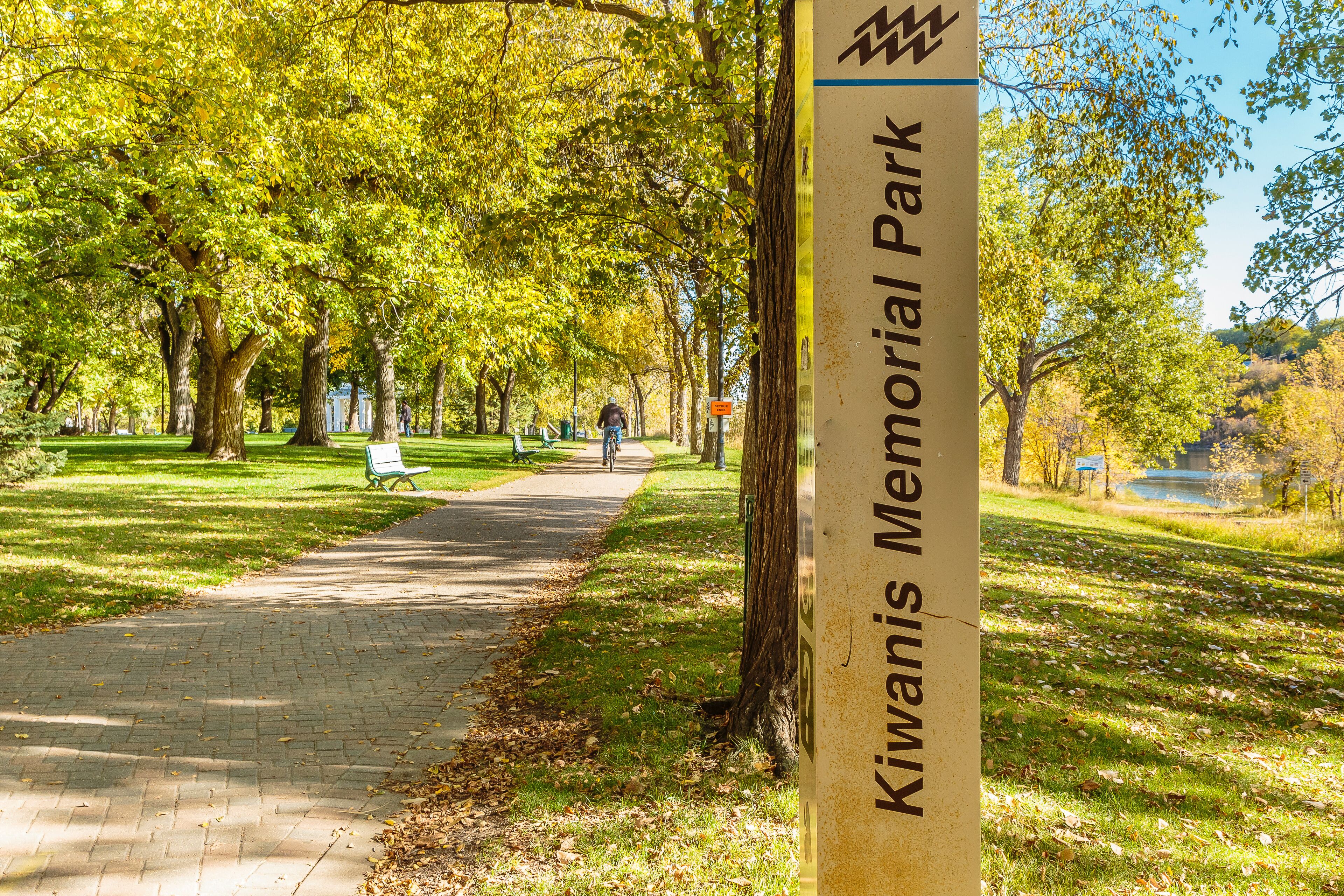 A park with a paved walkway, green grass, and trees.