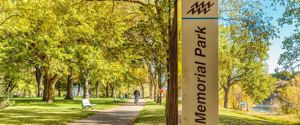 A park with a paved walkway, green grass, and trees.