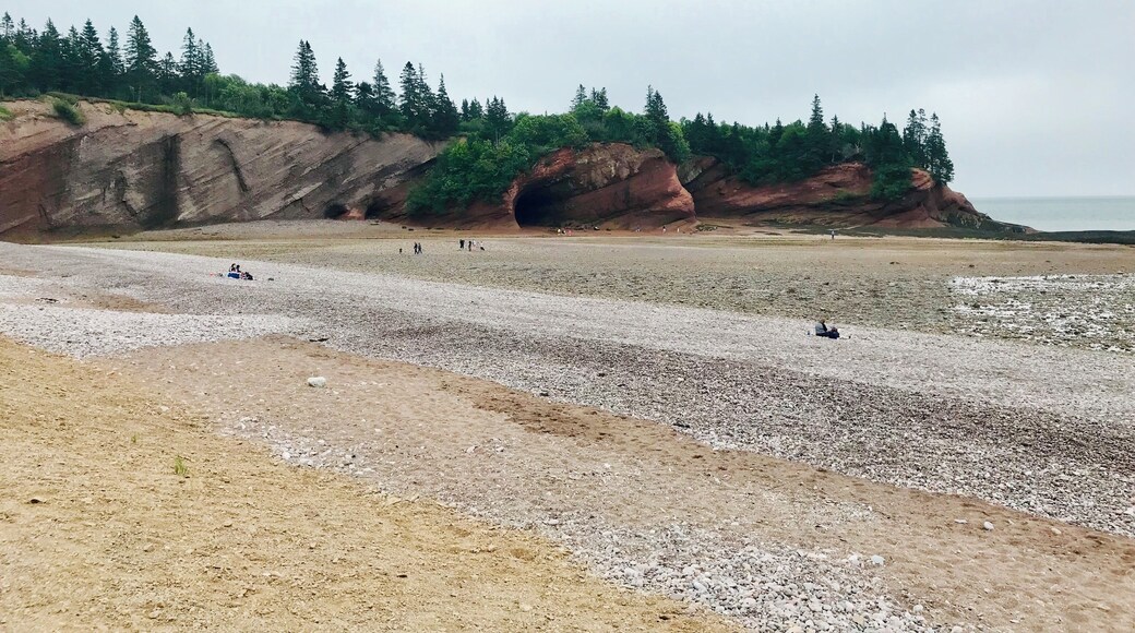 #Nature #Discoveries The Sea Caves at St Martins NB Canada.