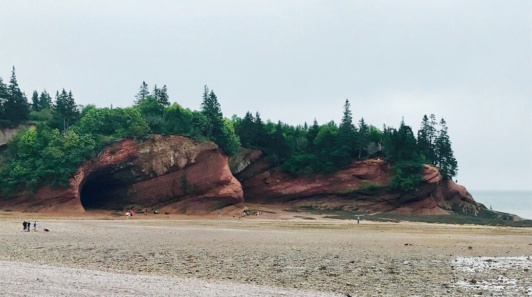 Such a beautiful place. If you come to New Brunswick this is a must visit town