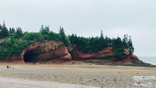 Such a beautiful place. If you come to New Brunswick this is a must visit town