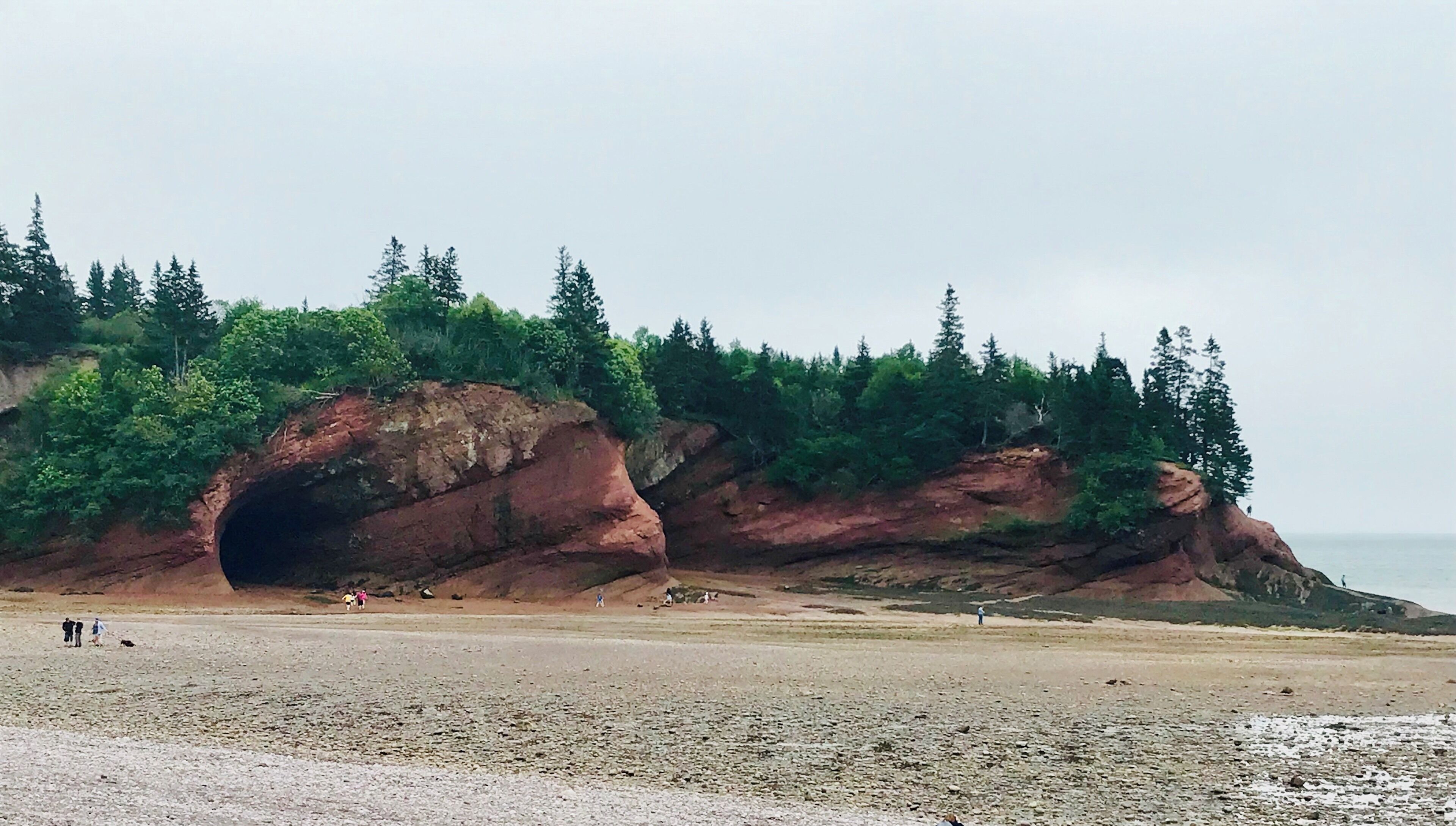 A rocky cliff with a cave entrance, a beach, and people walking.