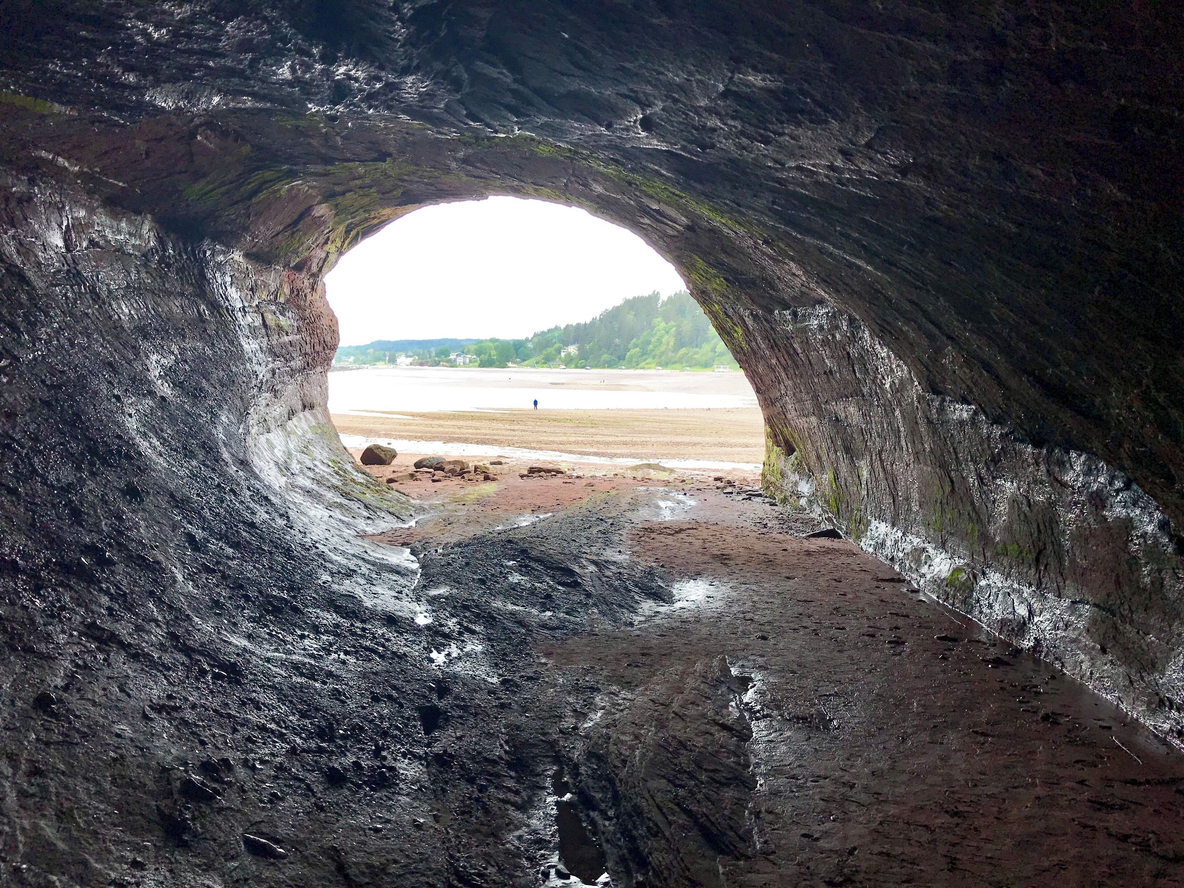 #Natures #Discoveries. On the inside looking out , St Martins Sea Caves.