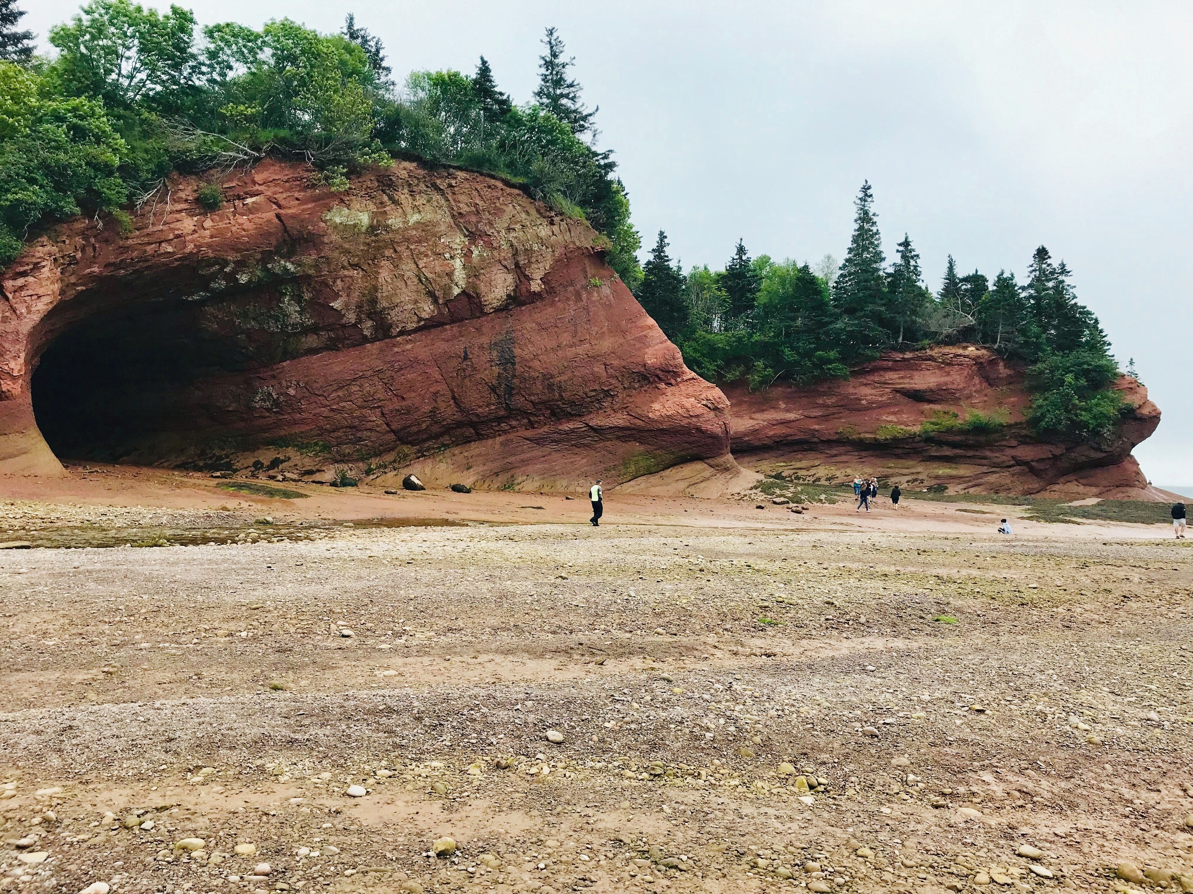 #Natures #Discoveries.  The Sea Caves along the shores of the Bay of Fundy in New Brunswick    , Highest tides in the world . 8 wonders of the natural world
