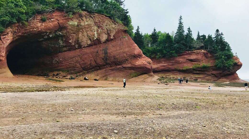 #Natures #Discoveries. The Sea Caves along the shores of the Bay of Fundy in New Brunswick , Highest tides in the world . 8 wonders of the natural world