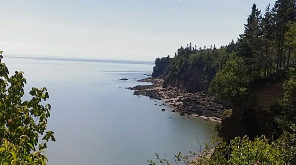 Lots of beautiful trails and ocean views.