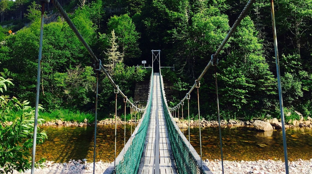 This beautiful bridge (and accompanying scenery) is located at Fundy Trail in New Brunswick, Canada. You can venture through the park on foot or by car. Be sure to visit the bridge before leaving. It’s very sturdy and easy to cross. #Nature #Canada #NationalParks