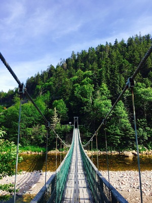 This beautiful bridge (and accompanying scenery) is located at Fundy Trail in New Brunswick, Canada. You can venture through the park on foot or by car. Be sure to visit the bridge before leaving. It’s very sturdy and easy to cross. #Nature #Canada #NationalParks