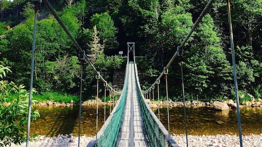 This beautiful bridge (and accompanying scenery) is located at Fundy Trail in New Brunswick, Canada. You can venture through the park on foot or by car. Be sure to visit the bridge before leaving. It’s very sturdy and easy to cross. #Nature #Canada #NationalParks