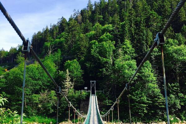 This beautiful bridge (and accompanying scenery) is located at Fundy Trail in New Brunswick, Canada. You can venture through the park on foot or by car. Be sure to visit the bridge before leaving. It’s very sturdy and easy to cross. #Nature #Canada #NationalParks