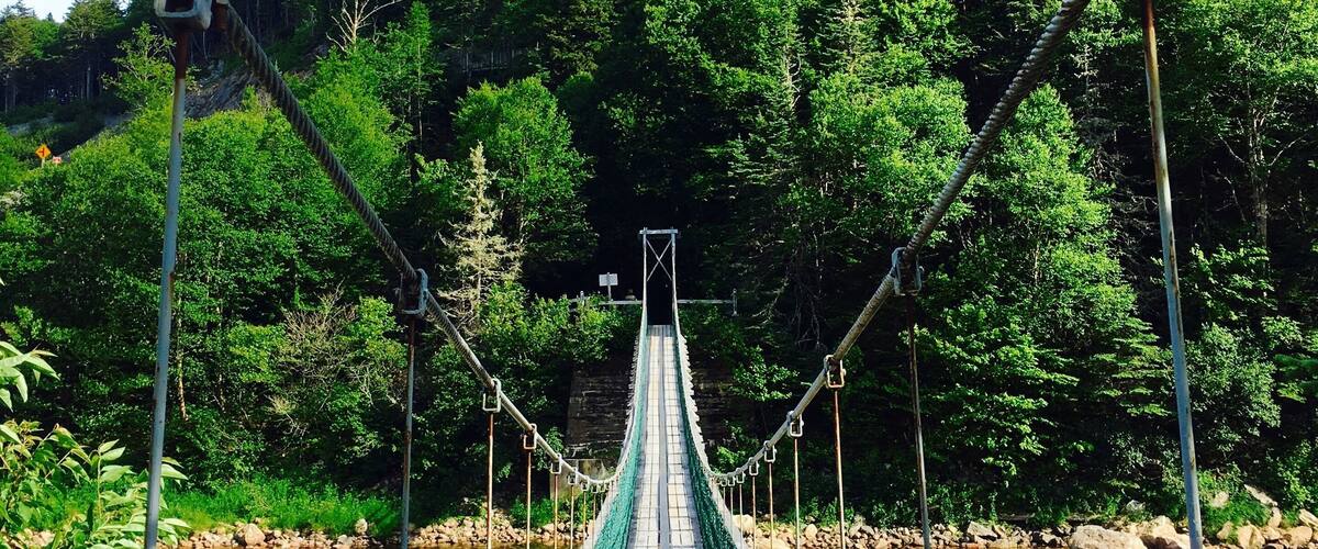 A suspension bridge over a river with a forested hillside in the background.