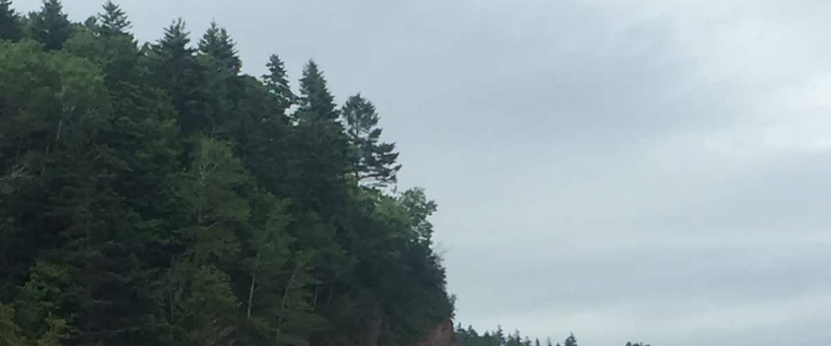 The Fundy Trail Parkway is a MUST if you’re in the St. Martins, NB area.