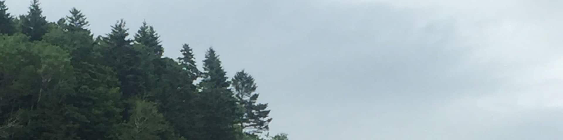 The Fundy Trail Parkway is a MUST if you’re in the St. Martins, NB area.