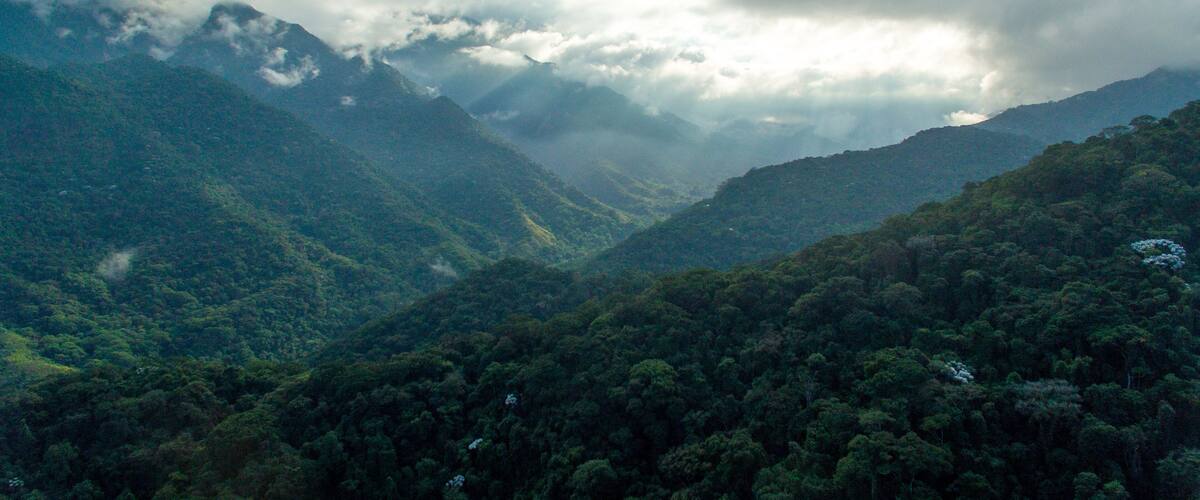 Sunrise on the exuberant mountains of the Atlantic Forest within the protected area of Três Picos State Park, in Cachoeira de Macacu, Rio de Janeiro