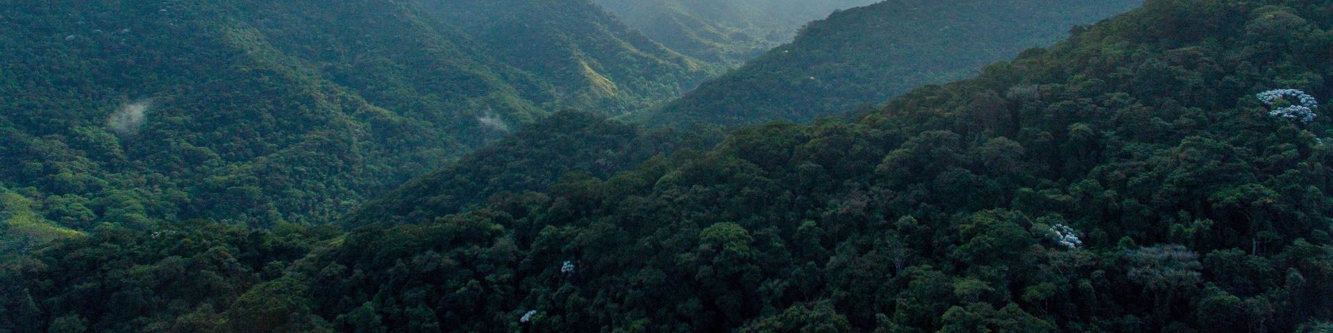 Sunrise on the exuberant mountains of the Atlantic Forest within the protected area of Três Picos State Park, in Cachoeira de Macacu, Rio de Janeiro