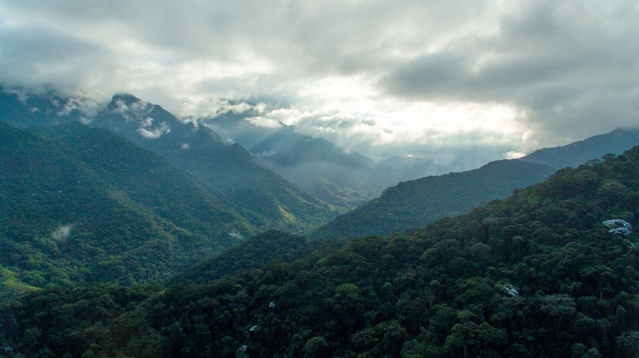 Sunrise on the exuberant mountains of the Atlantic Forest within the protected area of Três Picos State Park, in Cachoeira de Macacu, Rio de Janeiro