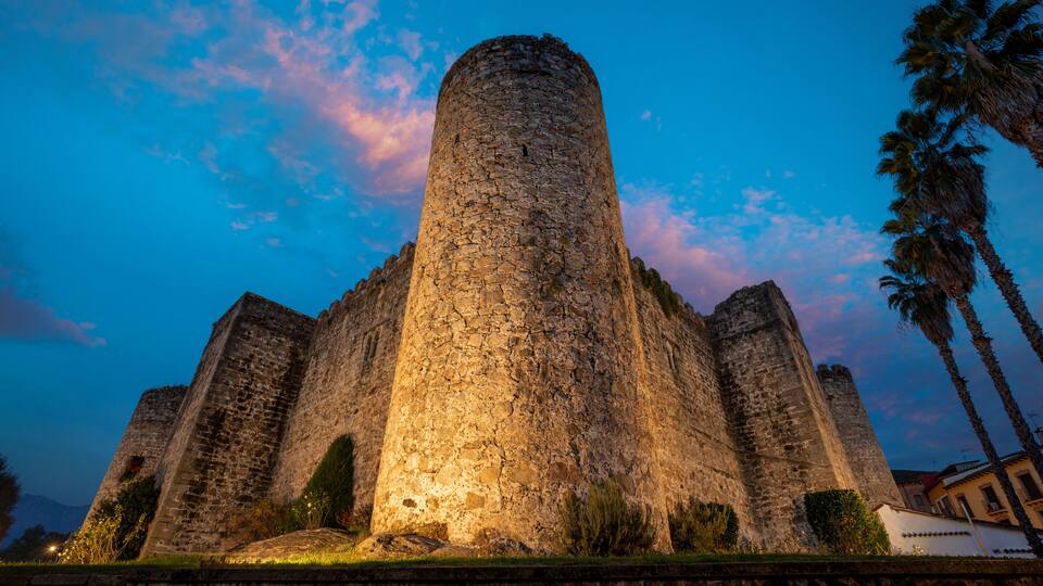 A historic stone fortress with a central tower, surrounded by palm trees and a clear sky.