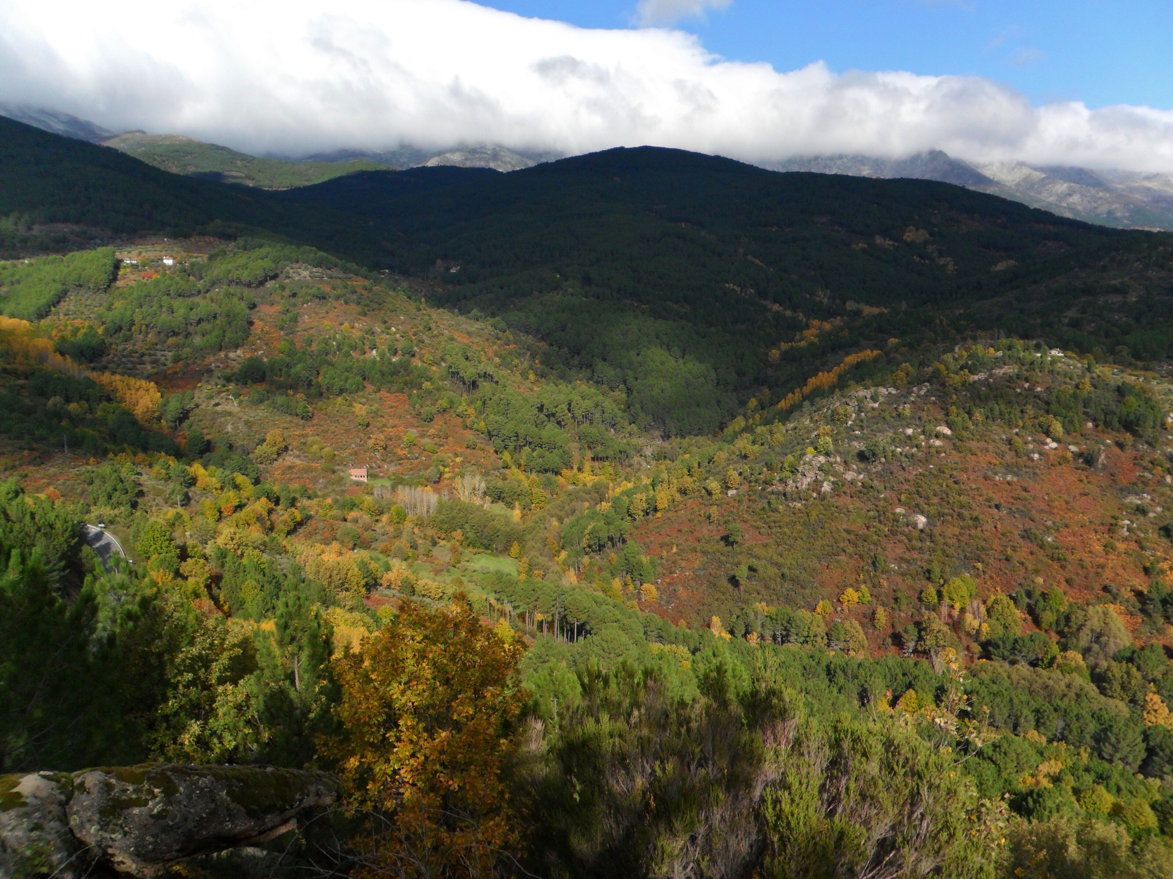 Bosques en la sierra de Gredos, Arenas de San Pedro.
