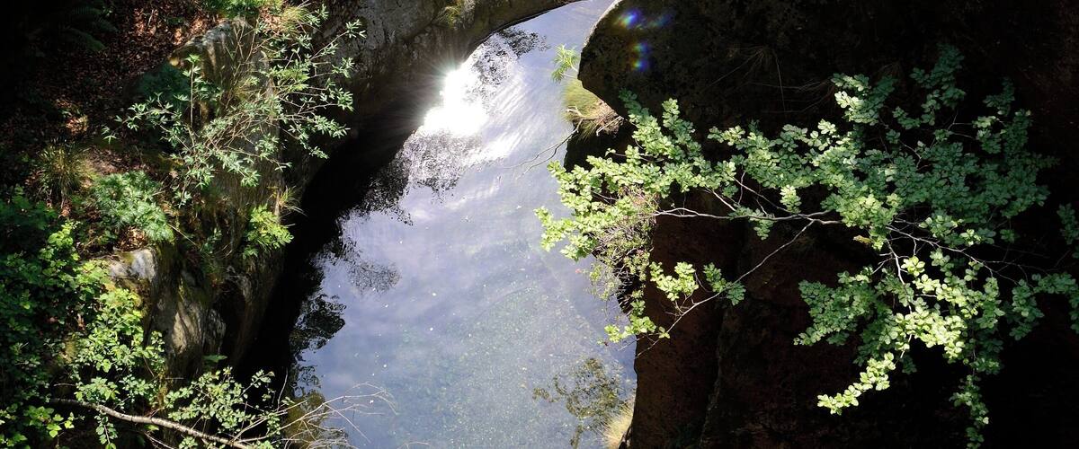 "Riflessi selvaggi" - Sentiero pian di Boit - Parco nazionale della Val Grande (Q358729)