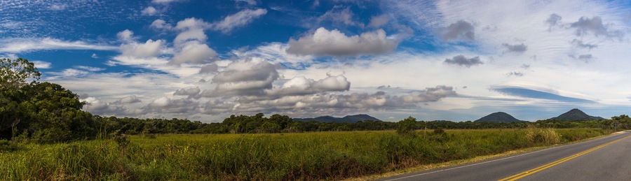 Estrada atravessando área florestal.