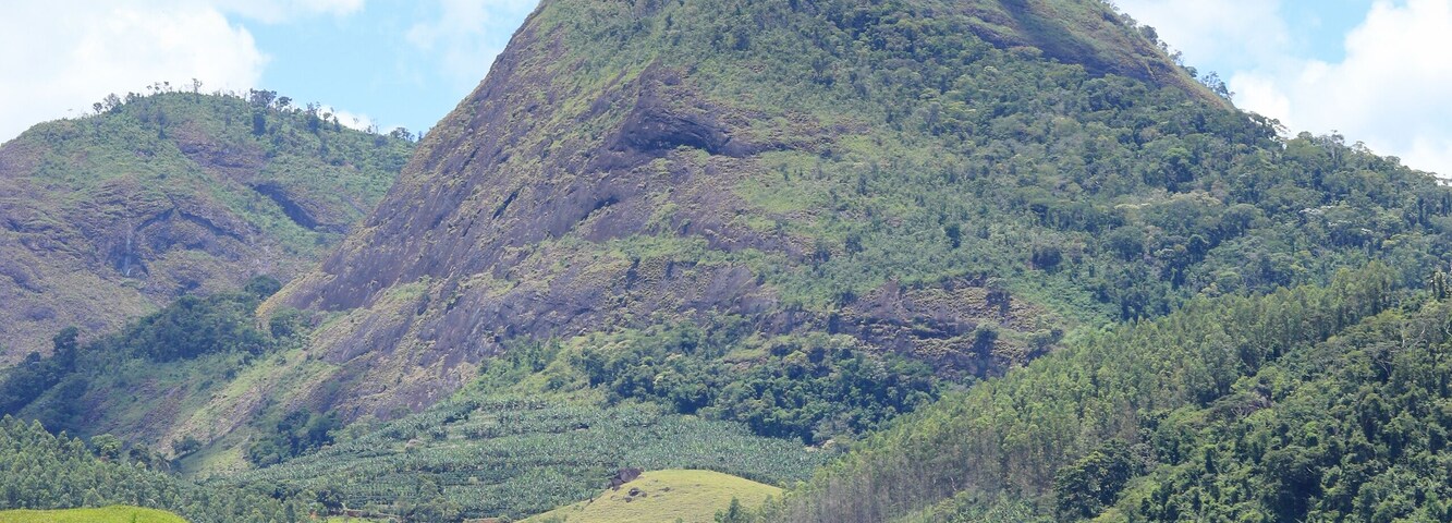 Una ladera verde con una cerca en primer plano y una montaña al fondo.