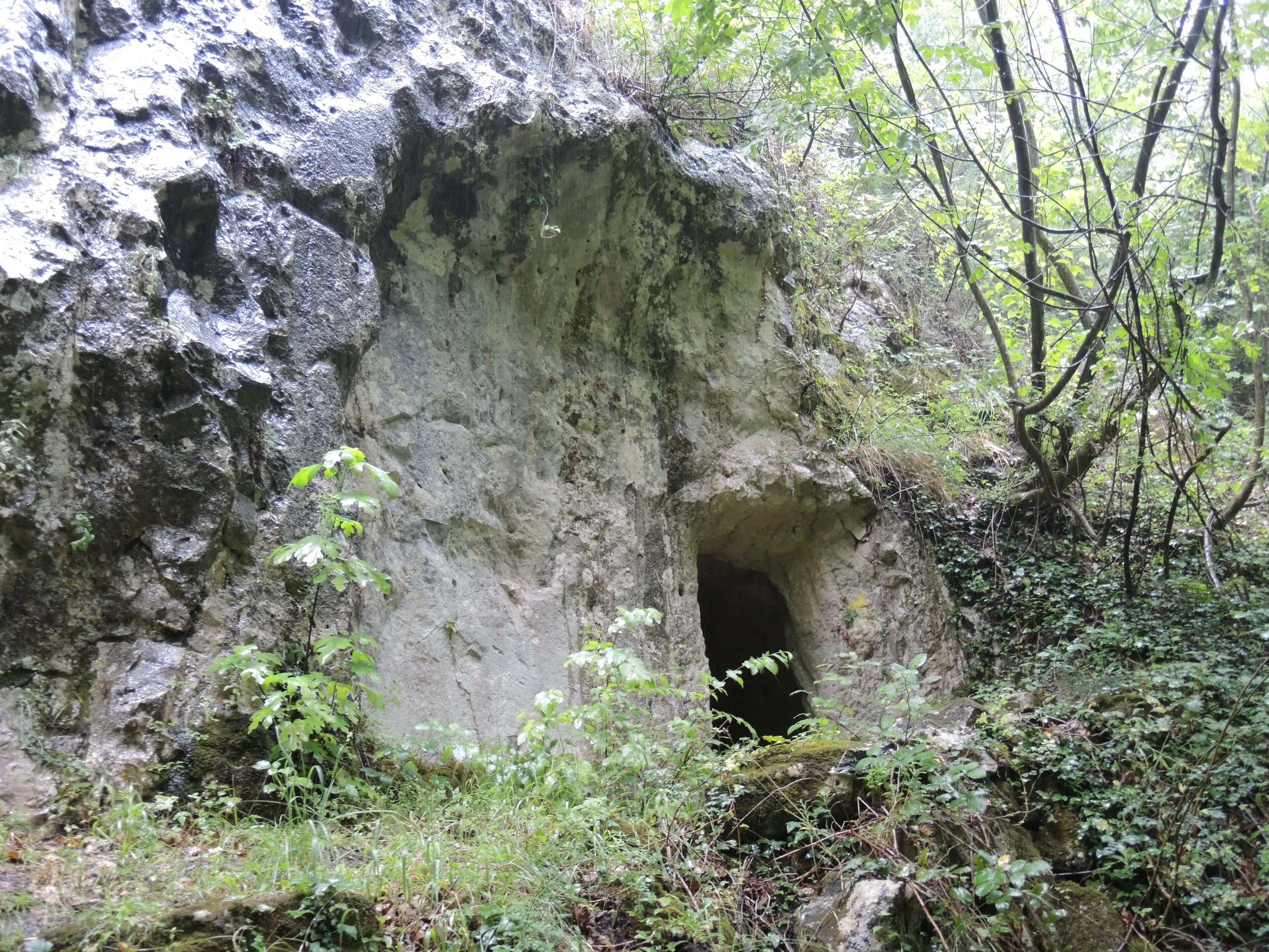 A cave entrance surrounded by greenery and trees.