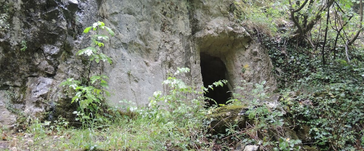 A cave entrance surrounded by greenery and trees.