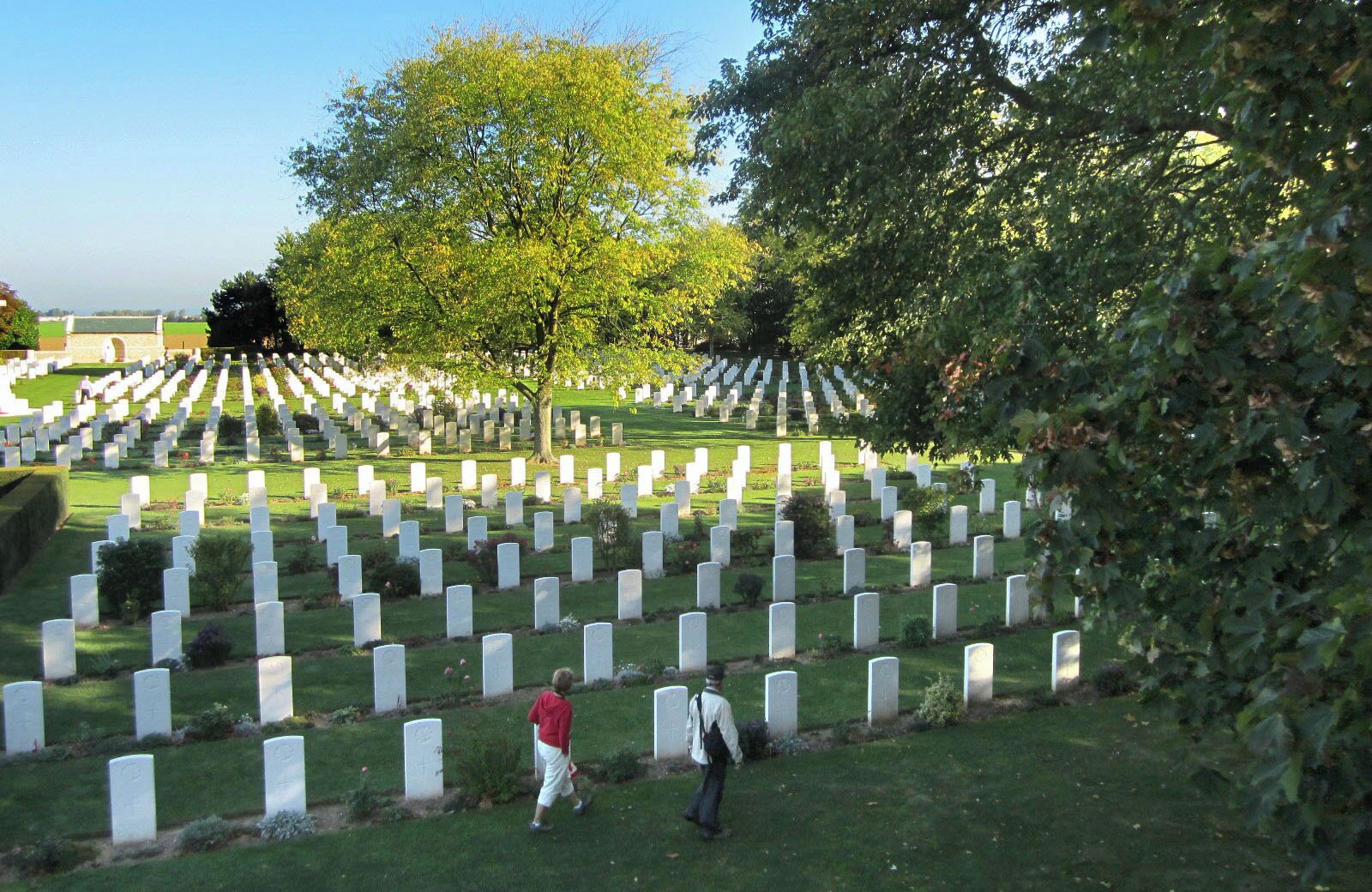 A cemetery with rows of white headstones and a large tree in the center.