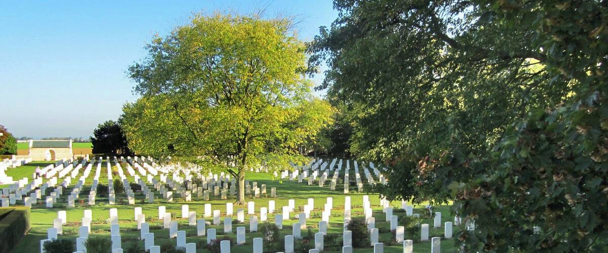 A cemetery with rows of white headstones and a large tree in the center.
