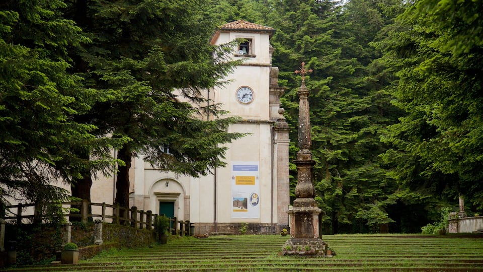 A church with a clock tower surrounded by lush greenery.