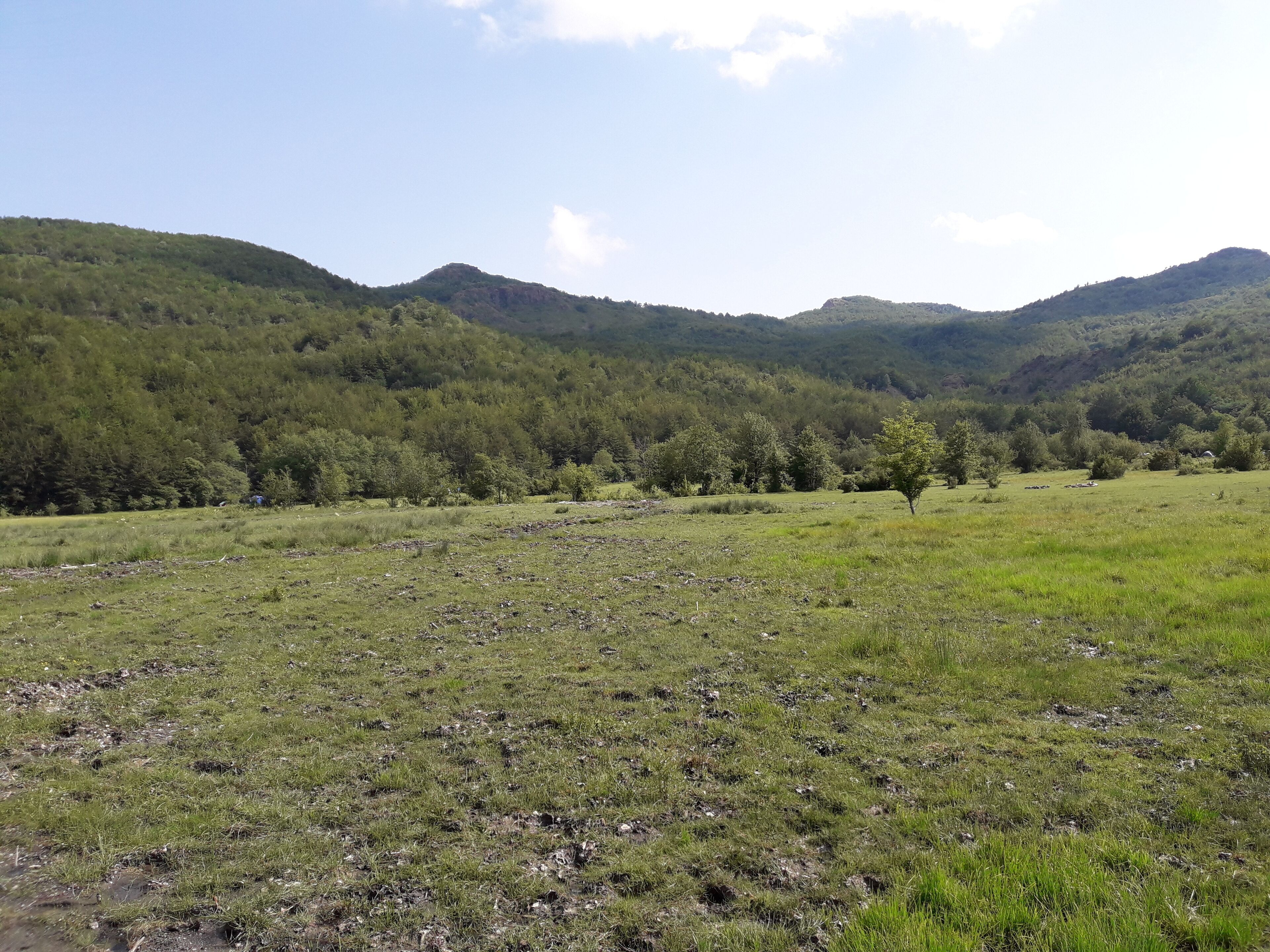 A grassy field with scattered trees and rolling hills in the background.