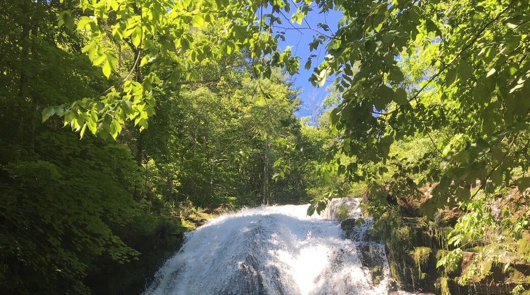 Roaring Run Falls