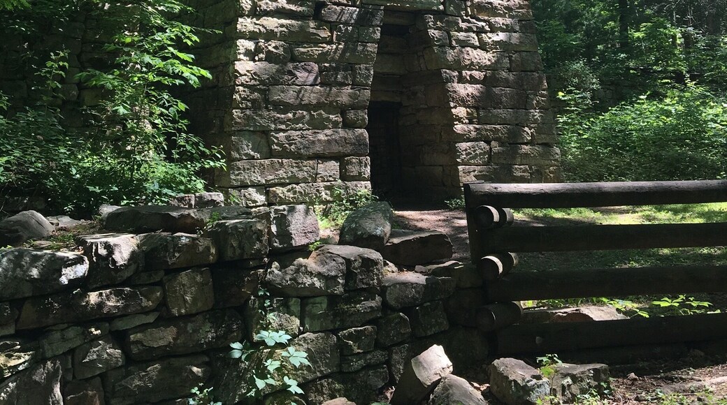 Roaring Run Furnace