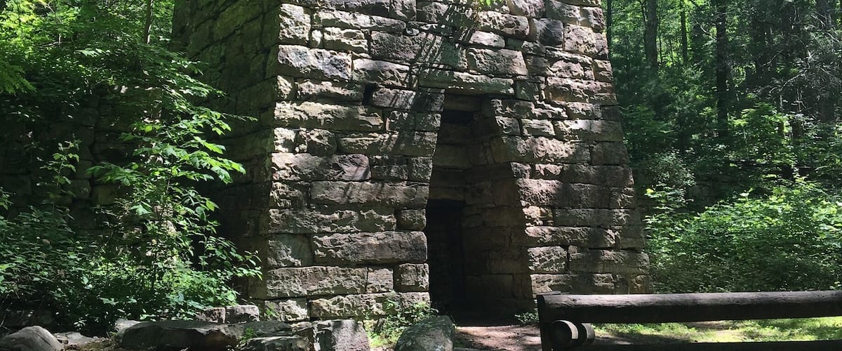 A stone ruin surrounded by dense forest.