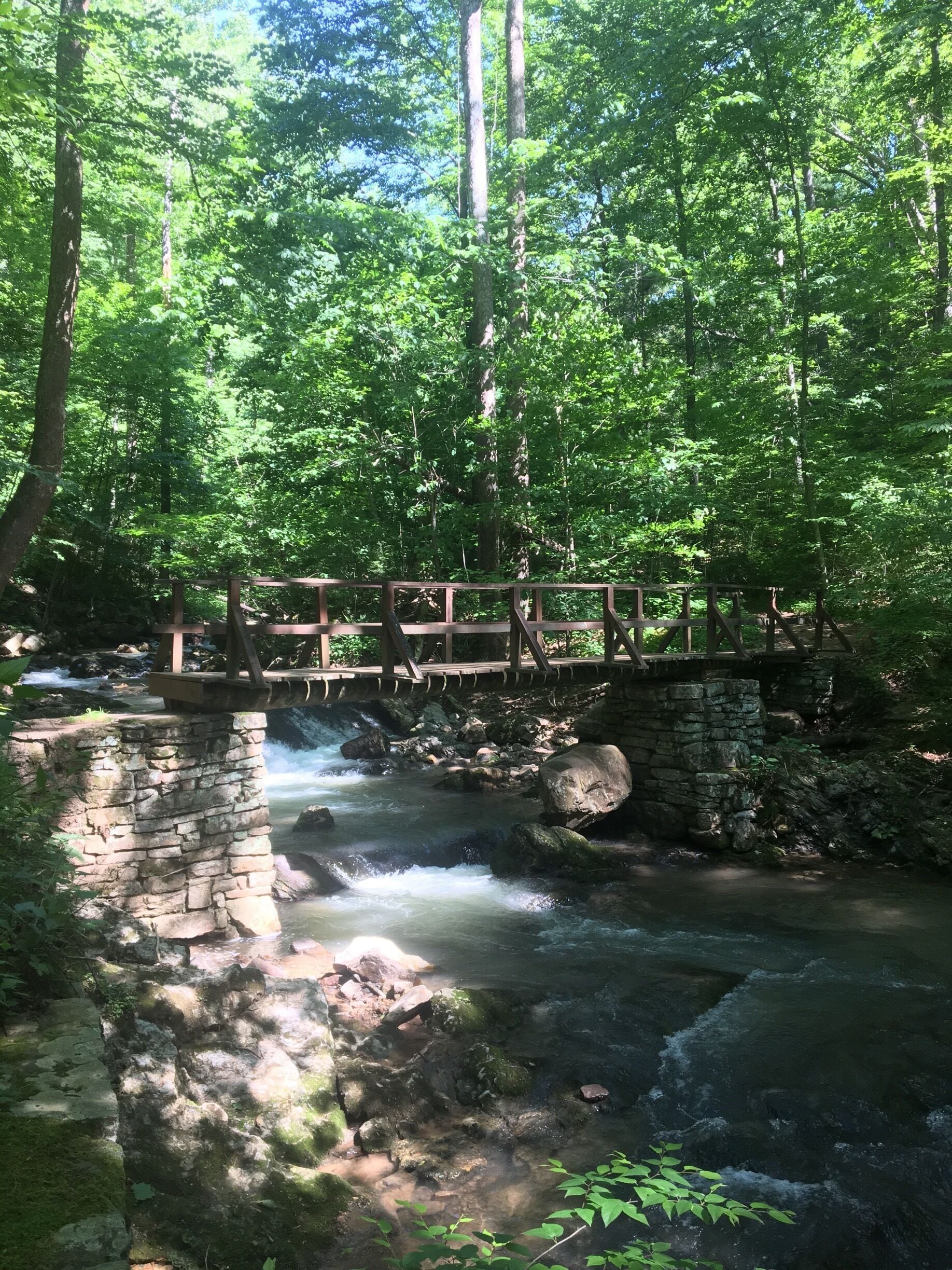 Beginning of Roaring Run Falls loop