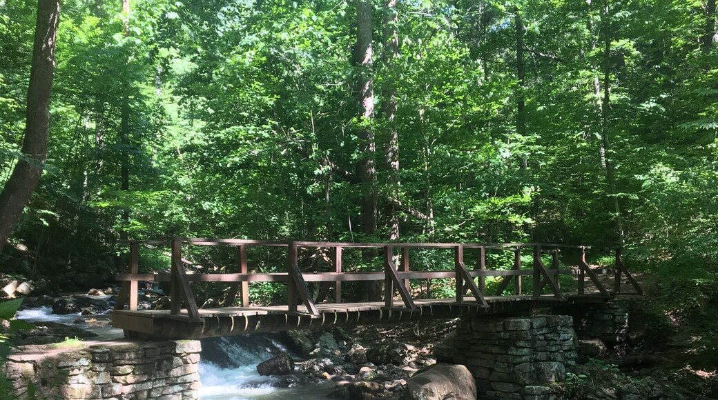 Beginning of Roaring Run Falls loop