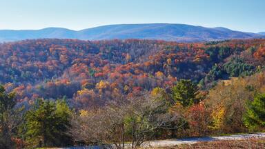 Late autumn scene along the Blue Ridge Parkway near Waynesboro, Virginia