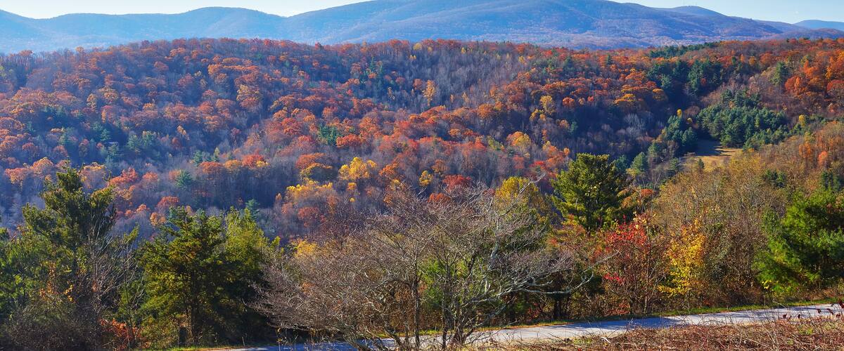 A mountainous landscape with autumn foliage.