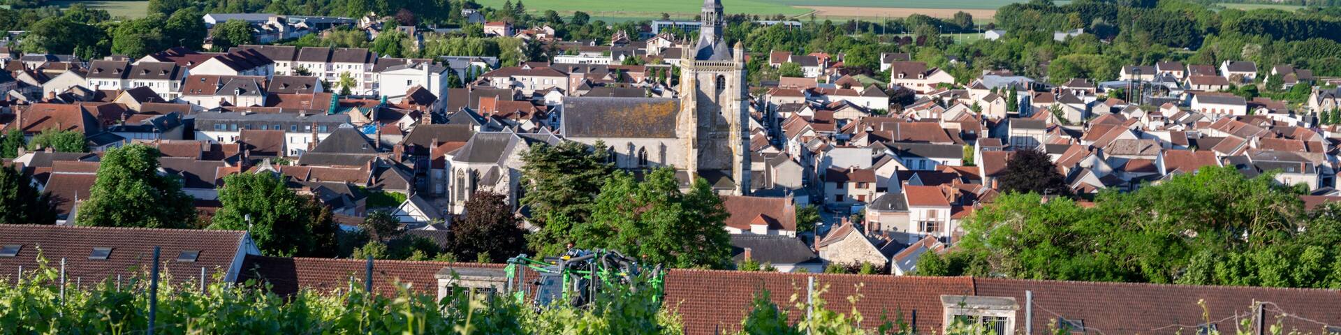View on old green grand cru hilly champagne vineyards near village Ay-Champange, Vallee de la Marne, Champagne region, France, row of pinot noir grape plants and old houses in village
