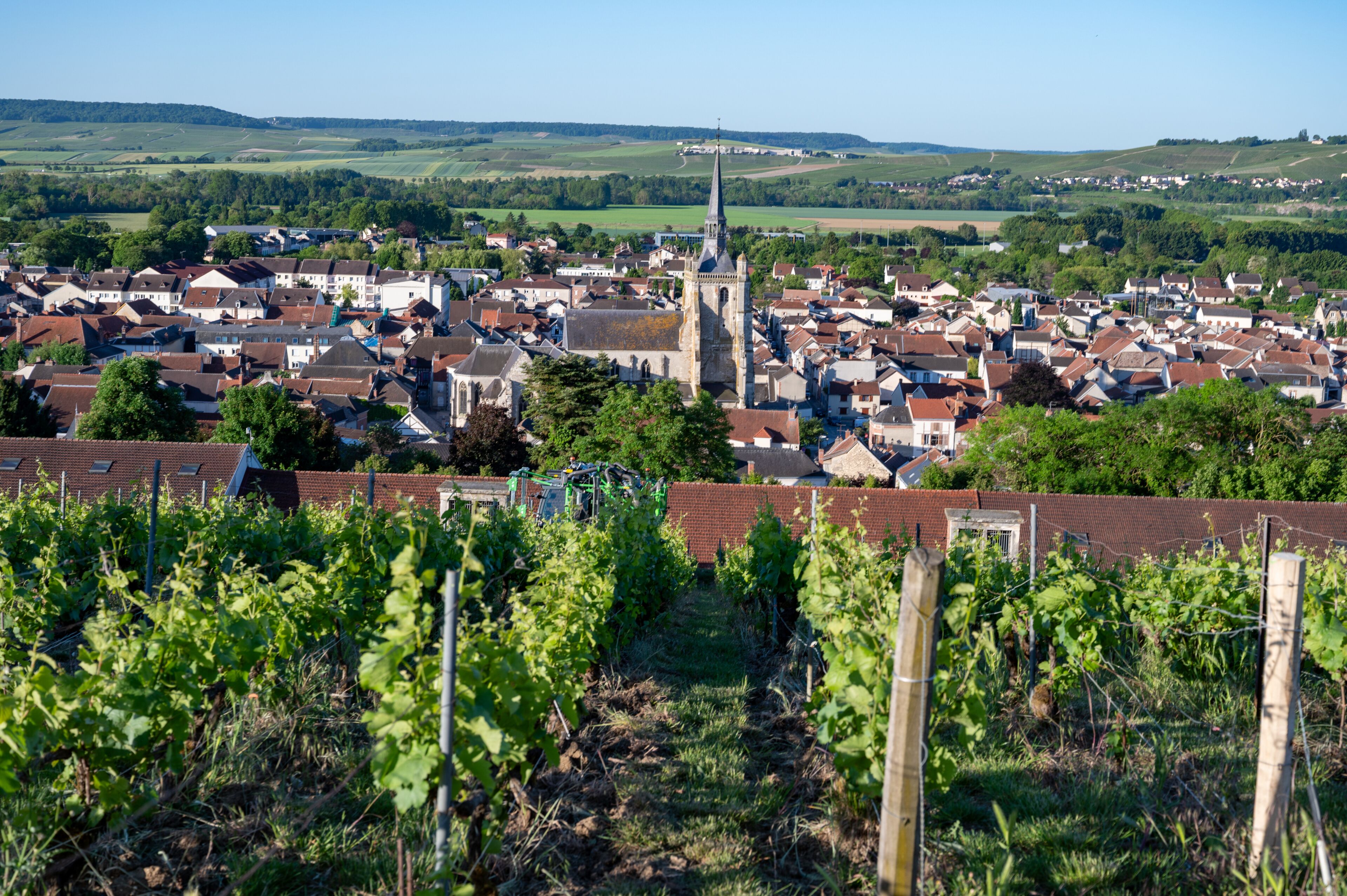 A town with a prominent church spire, vineyards, and rolling hills in the background.