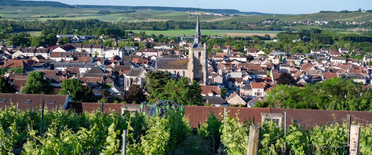 A town with a prominent church spire, vineyards, and rolling hills in the background.