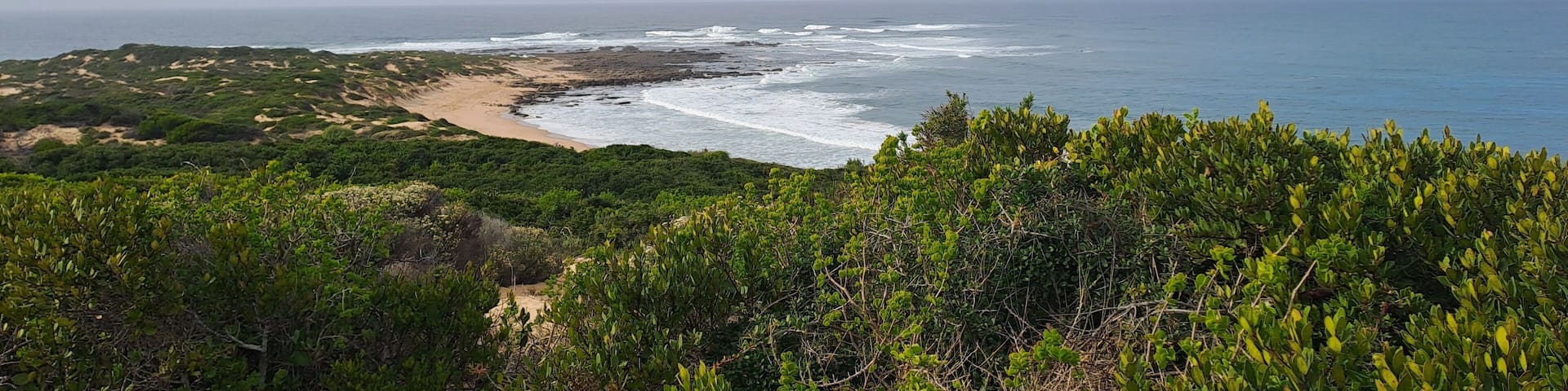 Skulpiesbaai Nature Reserve view from lookout point
in Still Bay South Africa
