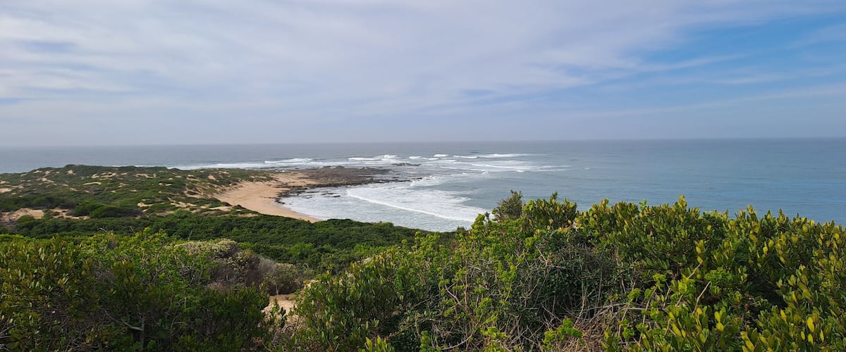A coastal landscape with a sandy beach, rocky shoreline, and dense green vegetation.