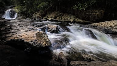 Crystal Cascades is one of the hidden gems in Cairns, a 1.5km long stretch of small waterfalls and swimming holes about 1/2 drive from the centre of town.
There is a walkway along the length of the cascades and steps down to the most popular swimming spots, as well as picnic tables and seating areas, all surrounded by lush bush.