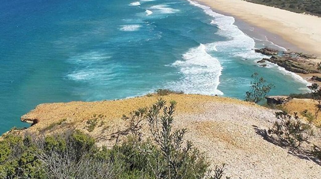 Beautiful walks at Dunbogan on Mid North Coast of NSW! This pic of Dunbogan Beach was taken from the Flower Bowl Circuit walk, highly recommend this little town & the bushwalks there that have stunning views like this one!